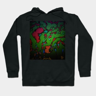 The closing light Hoodie